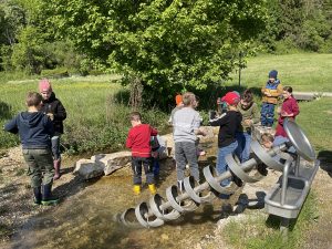 Naturtag Das Leben im und am bach wird untersucht