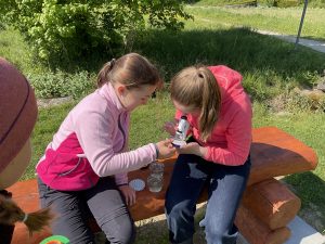 Naturtag Kinder untersuchen die Artenvielfalt